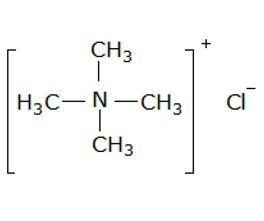 四甲基氯化銨，99%